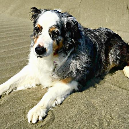 Hi-Tide Ocean Beach Resort Моуклипс Екстериор снимка